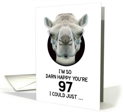 97th Birthday Happy Birthday Funny Camel Humorous Animal card