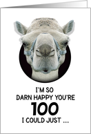 100th Birthday Happy Birthday Funny Camel Humorous Animal card