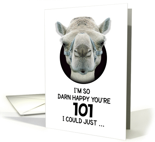 101st Birthday Happy Birthday Funny Camel Humorous Animal card