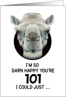 101st Birthday Happy Birthday Funny Camel Humorous Animal card