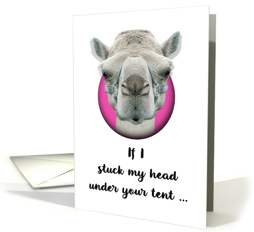 Funny Camel Wants Cake card (1534234)