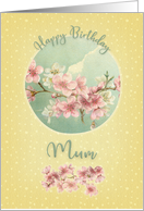 Happy Birthday to Mum Pretty Cherry Blossoms in Bloom card