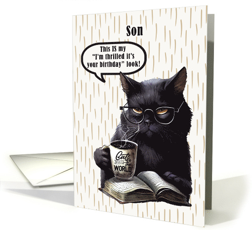 Son Birthday Humorous Sarcastic Black Cat card (1778844)