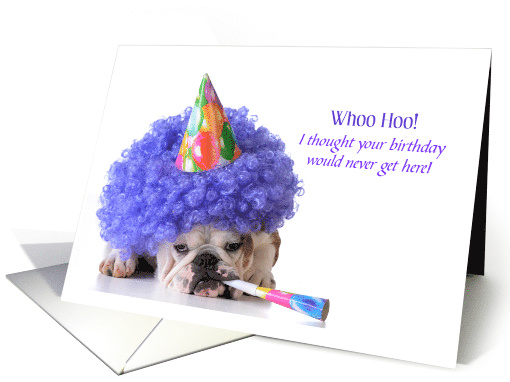 Birthday for Anyone Cute Bulldog Ready to Party card (1780840)