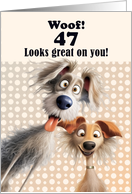 47th Birthday For Anyone Silly Dogs Humor card