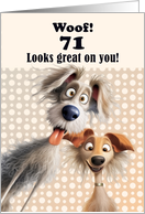 71st Birthday For Anyone Silly Dogs Humor card