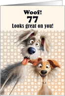 77th Birthday For Anyone Silly Dogs Humor card