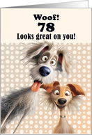 78th Birthday For Anyone Silly Dogs Humor card