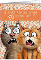 36th Birthday Funny Surprised Cats card