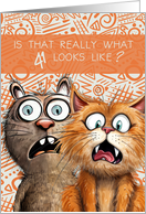 41st Birthday Funny Surprised Cats card