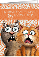 56th Birthday Funny Surprised Cats card
