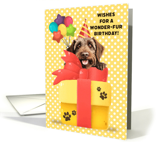 Wirehaired Pointing Griffon Birthday Greeting with... (1923442)