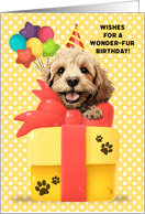Cuckapoo Birthday Greeting with Balloons and Gift card