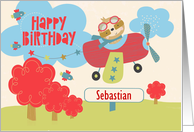 Sebastian Custom Name Birthday Cute Sloth Flying a Plane
