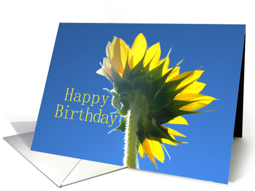 Sunflower Reaching for the Sky Happy Birthday card (848268)