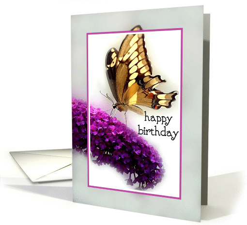 Butterfly Bush with Butterfly Happy Birthday card (851932)