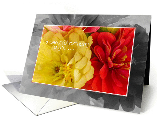 A Beautiful Birthday to You ... Triple Zinnia framed card (857599)