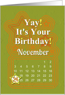 November 24th Yay It’s Your Birthday date specific card