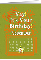 November 27th Yay It’s Your Birthday date specific card