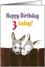 3rd birthday, Donkeys looking over wooden fence card