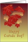 Canada Day Pretty Maple Leaves card