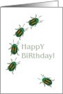 Birthday, Beetles on the move card