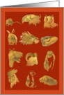 Twelve Animals of The Chinese Zodiac Chinese New Year card