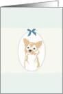 Cute Chihuahua Blank card