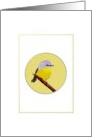 Bird Sketch Blank card