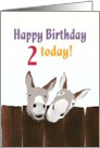 2nd Birthday Donkeys Looking Over a Wooden Fence card