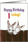 1st birthday, donkeys looking over a wooden fence card
