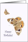 Birthday, Pretty butterflies card