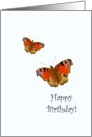 Birthday, Pretty butterflies card