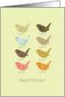 Birthday For Bird Lovers Happy Birdday Cute Birds card