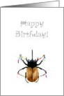 Birthday, beetle greeting card