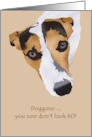 60th Birthday Doggone You Don’t Look It Jack Russell card