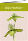 Birthday Green Orchids Against Pink Patterned Background card