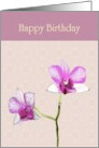 Birthday Orchids Against Pink Patterned Background card