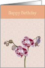 Birthday Orchids Against Pink Patterned Background card