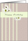 Pretty white daisies on a grey patterned background, Birthday card