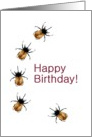 Birthday, Horned beetles on the move card