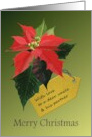 Christmas for Uncle and Partner Poinsettias card