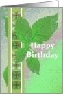 Birthday Water Droplets On Fresh Green Leaves card