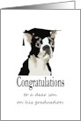 Graduation for Son Boston Terrier Wearing Graduate Cap card