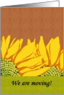 Sunflower moving announcement, sunflowers against wood panel card