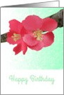Birthday Chaenomeles Flowers On A Branch card