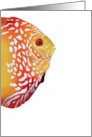 Colorful Tropical Fish Blank card