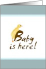 Announcement New Baby Cute Duckling card