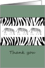 Thank You Zebra Print And Little Zebras card