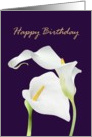 Birthday white calla lily flowers card